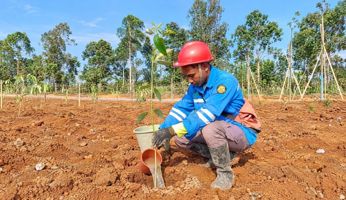 Warga dalam binaan PT Star Energy saat melakukan penanaman pohon di wilayah Lampung Barat, Minggu 18 Oktober 2026 | Kamto Winendra/Media Prioritastv.com.