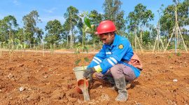 Warga dalam binaan PT Star Energy saat melakukan penanaman pohon di wilayah Lampung Barat, Minggu 18 Oktober 2026 | Kamto Winendra/Media Prioritastv.com.