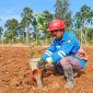 Warga dalam binaan PT Star Energy saat melakukan penanaman pohon di wilayah Lampung Barat, Minggu 18 Oktober 2026 | Kamto Winendra/Media Prioritastv.com.