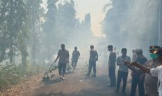 Lahan 1,5 Hektar di Batu Tegi Tanggamus Terbakar, Kerugian 80 Juta