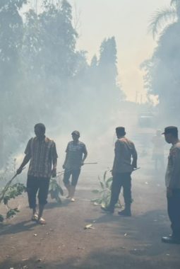 Lahan 1,5 Hektar di Batu Tegi Tanggamus Terbakar, Kerugian 80 Juta