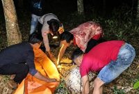 Polisi saat mengevakusi korban setelah diamuk massa usai dituduh mencuri getah karet di Kabupate Mesuji, Lampung, Rabu 21 Oktober 2026 malam | Dok. Polres Mesuji.