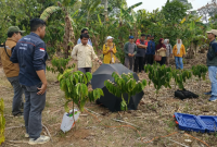 Itera dan BRMP TRI Kementan Gunakan Alat ADMT Temukan Potensi Sumber Air di Kebun Kopi Tanggamus